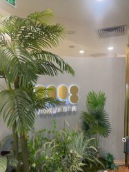 -八佰伴8008星级形象店