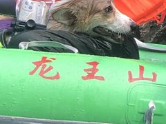 -安吉龙王山峡谷漂流