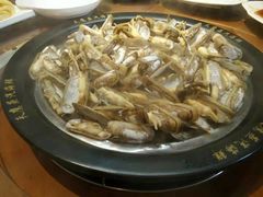 -天鹰观渔(梦园店)