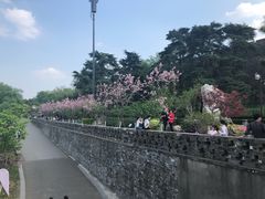 -百年尹氏汤包(湖南路狮子桥店)