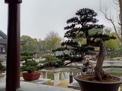 -泰州凤城河风景区-泰山公园