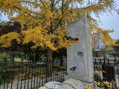 -元大都城垣遗址公园