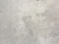 -苏湘小馆·不做预制菜(青年公社店)