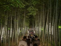 -杭州黄龙洞
