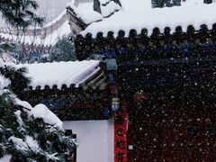 -兴教寺