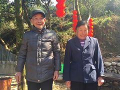 -杨家堂村