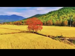 -塔川景区