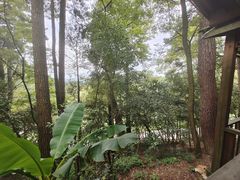 -生态园山庄(森林公园店)