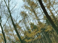 -长春市南湖公园