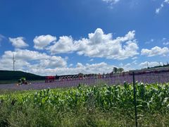 -草原天路(张北县)