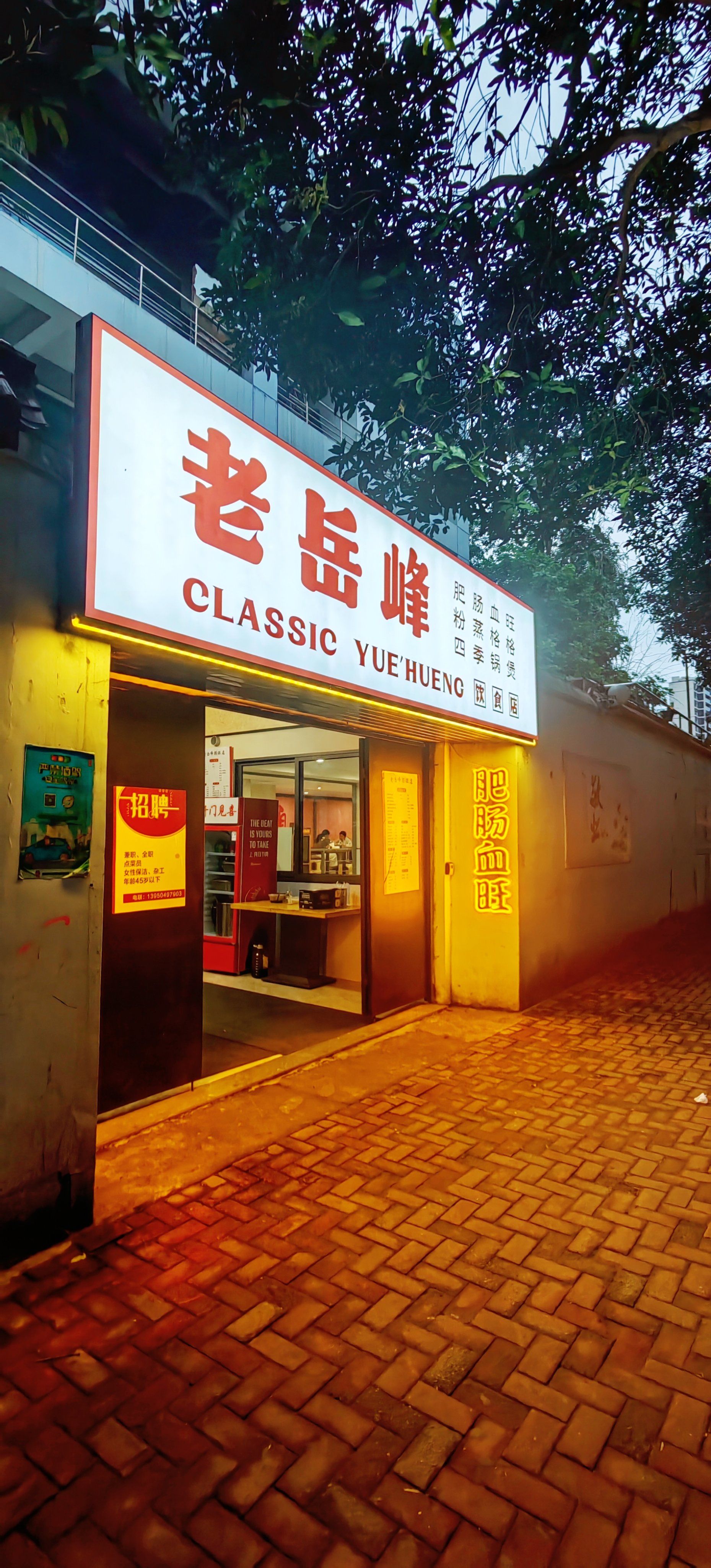 照亮夜晚的老式招牌