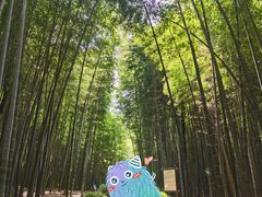 -大奇山国家森林公园