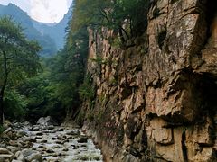 -青峰峡国家森林公园