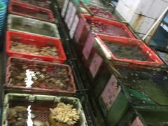 -新河畔海鲜酒楼(虎门店)