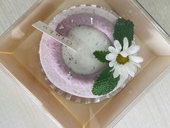 -Ginko银子(青龙街店)