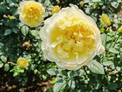 -人民公园(罗湖区)