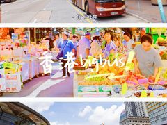 -Big Bus Tours 敞篷观光巴士