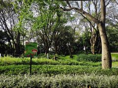 -云溪植物园