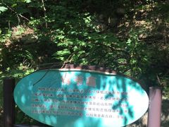 -大岭沟猕猴桃谷风景区