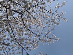 -两江幸福广场