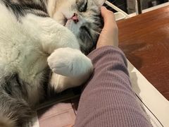 -咖法森林·咖啡  酒吧(天河店)