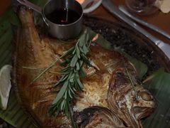 -陶享时光西餐·下午茶(信河街店)