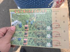 -千佛山风景名胜区