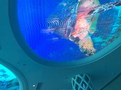 -瑞德姆美人鱼海底演艺主题餐厅(亚龙湾店)