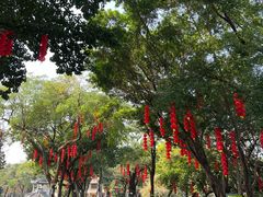 -荔湾湖公园