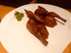 -广州富力君悦大酒店空中花园