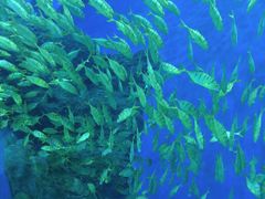 -成都浩海立方海洋公园