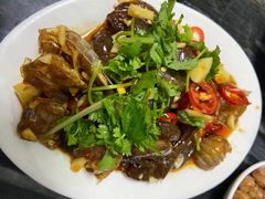 -金砂阿洲鱼册店