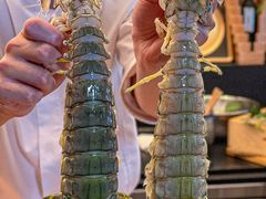 -鳥喜Toriki怀石烧鸟料理