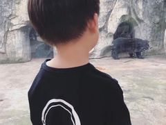 -南昌动物园