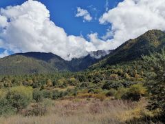 -林芝工布庄园希尔顿酒店-猎味中餐厅
