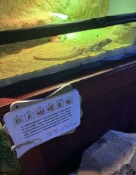 -酷嗒动物文化乐园(cutezoo西溪乐天城店)