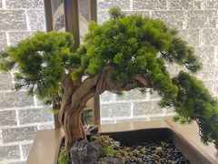 -赣悦轩·四季小馆