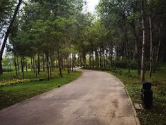 -东郊湿地公园