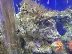 -石家庄海洋公园