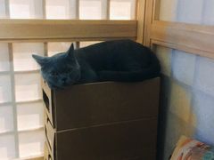 -小时光咖啡馆(开森度假森林店)