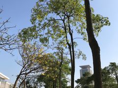 -华侨大学(厦门校区)