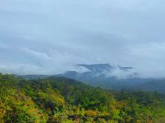 -黄金寨原生态旅游区