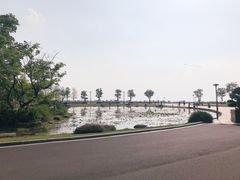 -滆湖低碳生态公园