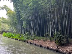 -同里国家湿地公园