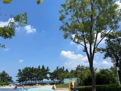 -悦海公园