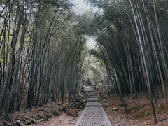 -穹窿山景区