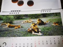 -好利来(十里河店)