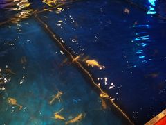 -钳真多钓虾馆·小龙虾海鲜烧烤(九六广场店)