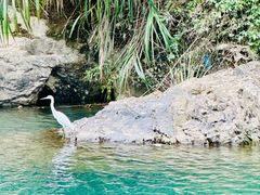 -楠溪江风景名胜区
