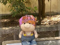 -上海佘山国家森林公园天马山园